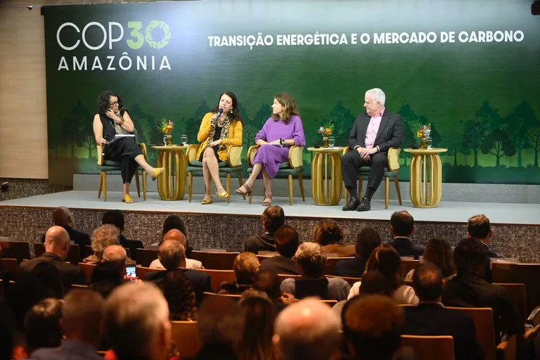 Subsecretária de Desenvolvimento Econômico Sustentável do Ministério da Fazenda, Cristina Reis (Foto Fabio Cordeiro) Subsecretária de Desenvolvimento Econômico Sustentável do Ministério da Fazenda, Cristina Reis (Foto Fabio Cordeiro)